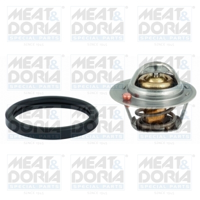 Termostat lichid racire
