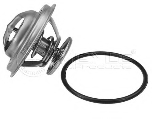 Termostat lichid racire