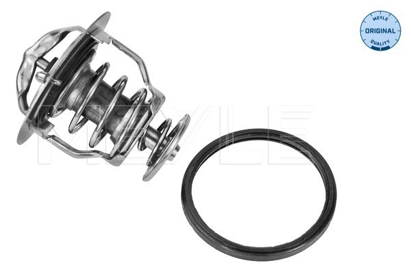 Termostat lichid racire