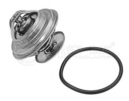 Termostat lichid racire