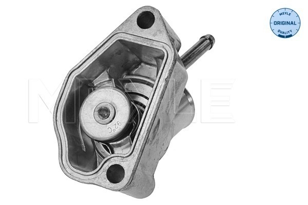 Termostat lichid racire