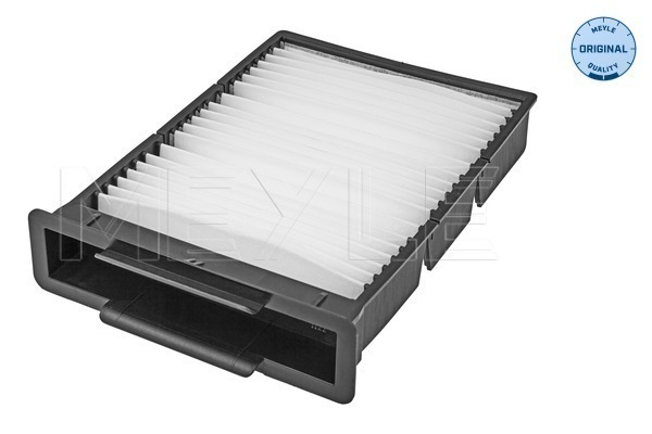 Filtru polen 11-123190009