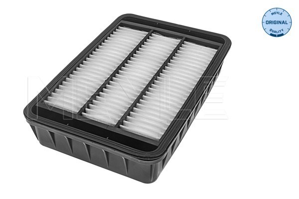 Filtru aer 11-123210025