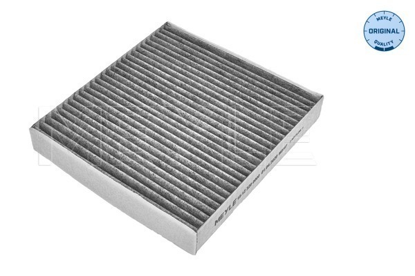 Filtru polen 15-123200000