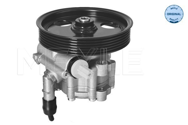 Pompa hidraulica sistem de directie 16-146310005