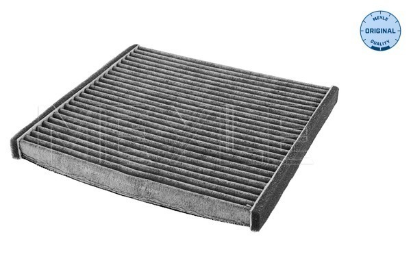 Filtru polen 30-123200002