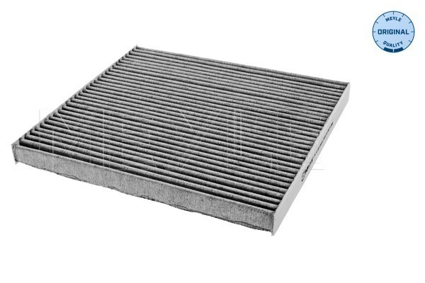 Filtru polen 30-123200003
