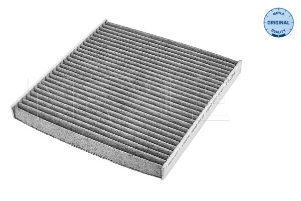 Filtru polen 30-123200005
