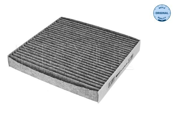 Filtru polen 30-123200006