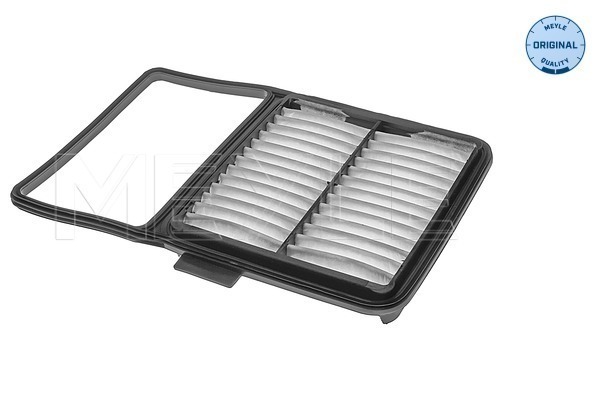 Filtru aer 30-123210034