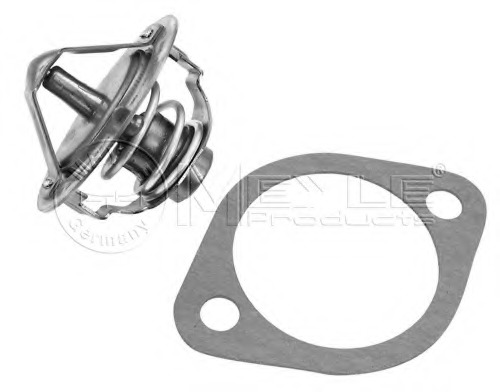 Termostat lichid racire