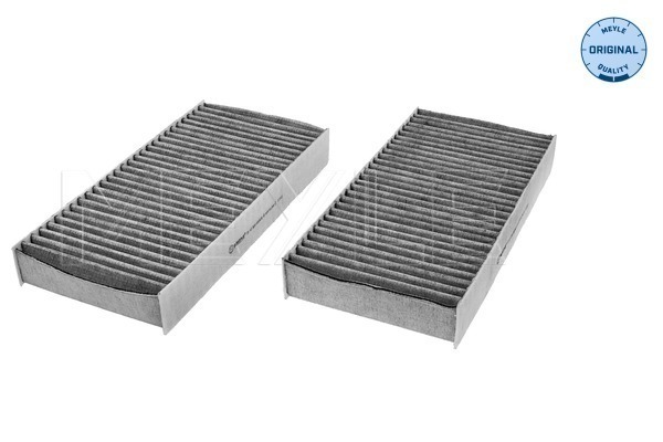 Filtru polen 31-123200004/s