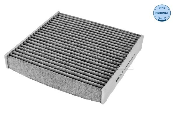 Filtru polen 31-123200006