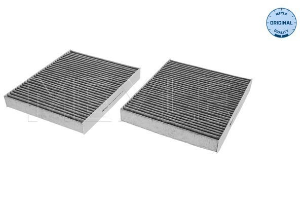 Filtru polen 3123200008/s