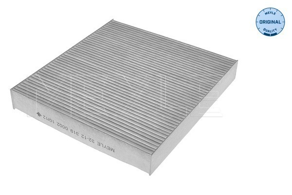 Filtru polen 32-123190002
