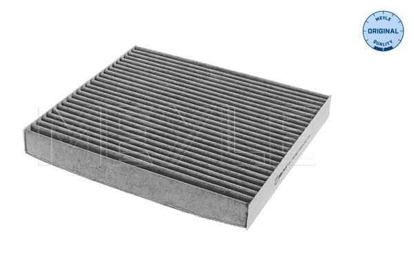 Filtru polen 35-123200003