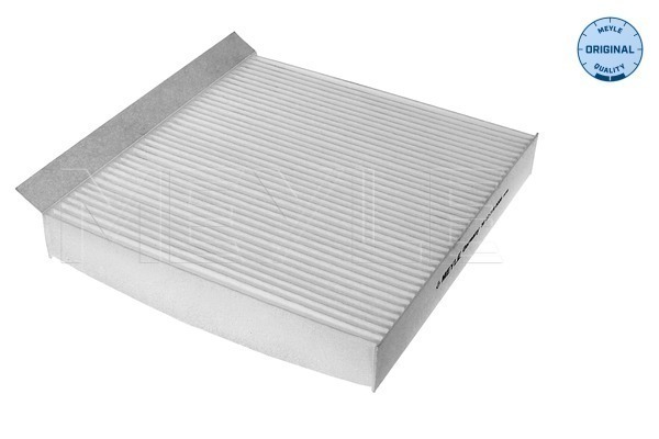 Filtru polen 36-123190006
