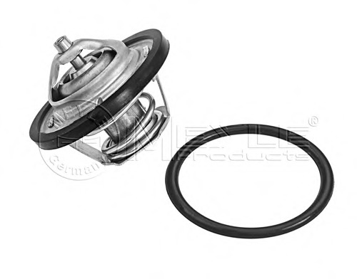 Termostat lichid racire