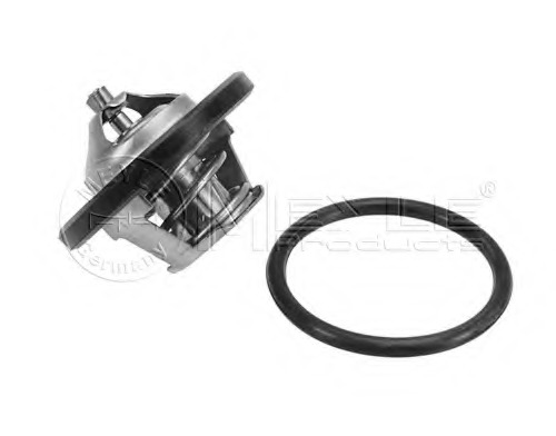 Termostat lichid racire