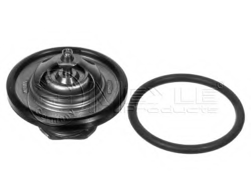 Termostat lichid racire