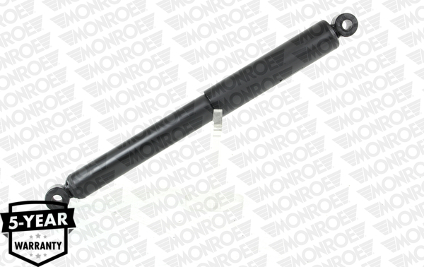 Amortizor