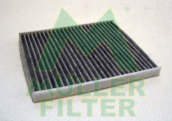 Filtru polen