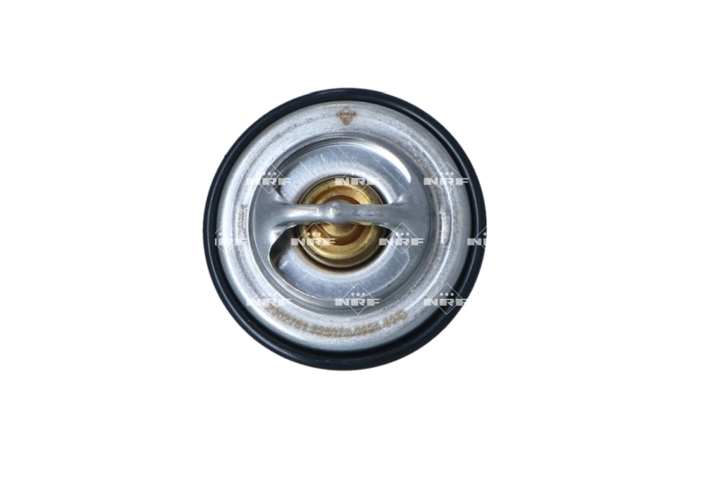 Termostat lichid racire