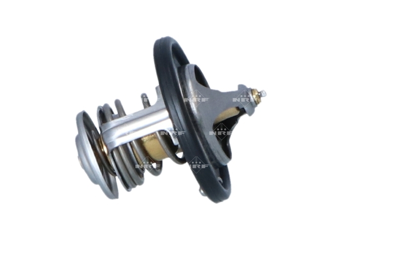 Termostat lichid racire