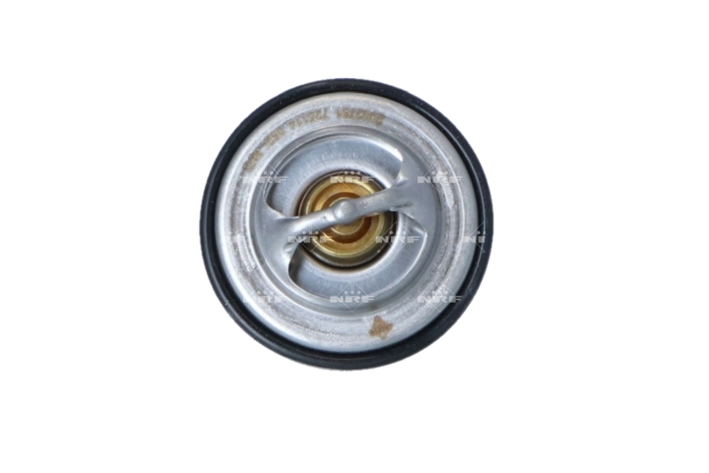 Termostat lichid racire