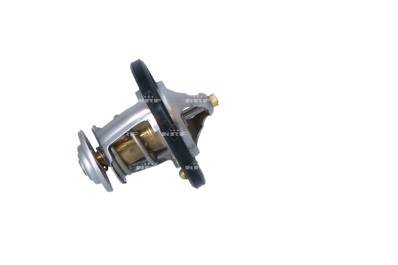 Termostat lichid racire