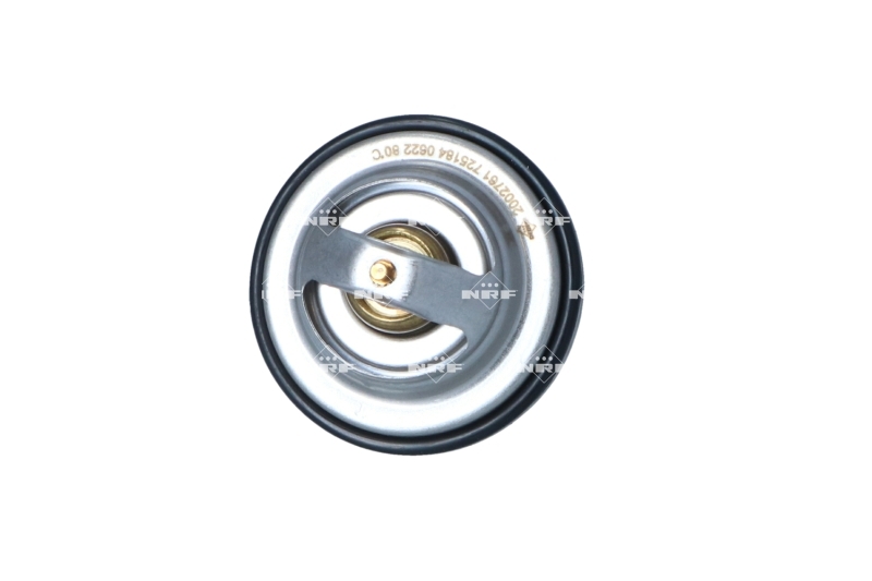 Termostat lichid racire