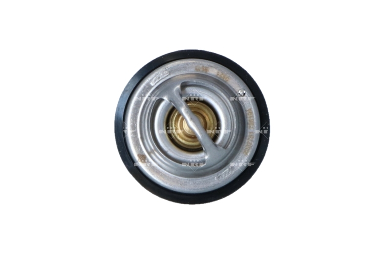 Termostat lichid racire