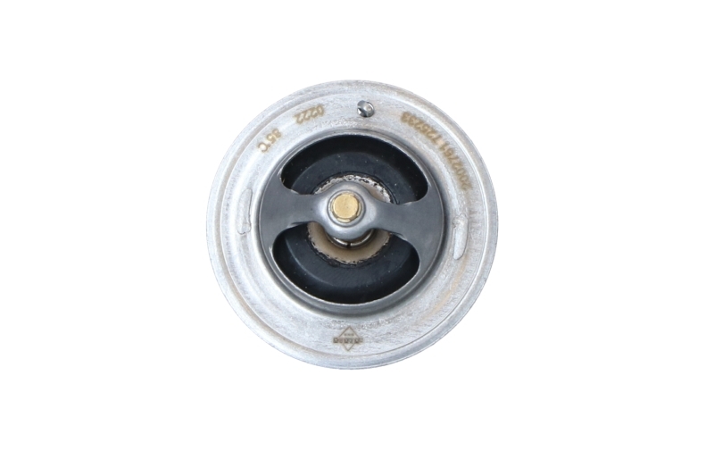 Termostat lichid racire