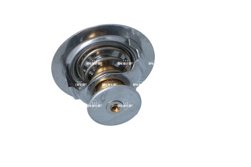 Termostat lichid racire