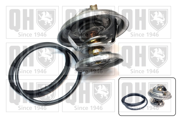 Termostat lichid racire