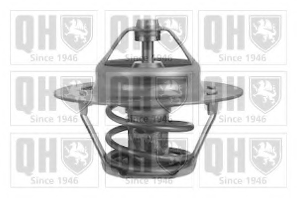 Termostat lichid racire