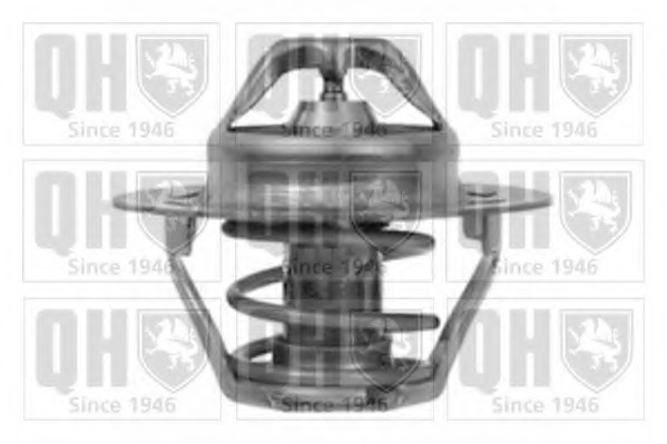 Termostat lichid racire