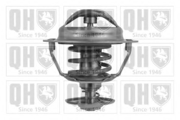 Termostat lichid racire