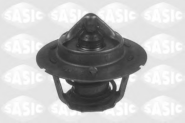 Termostat lichid racire