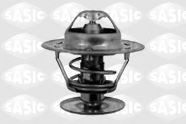 Termostat lichid racire