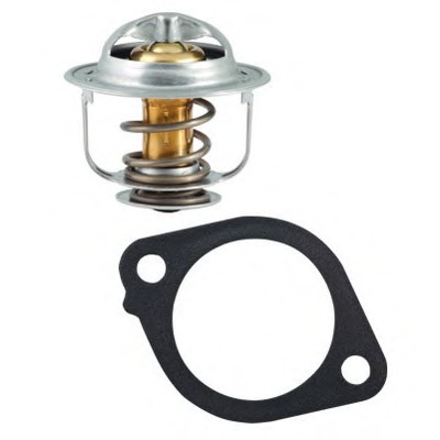 Termostat lichid racire