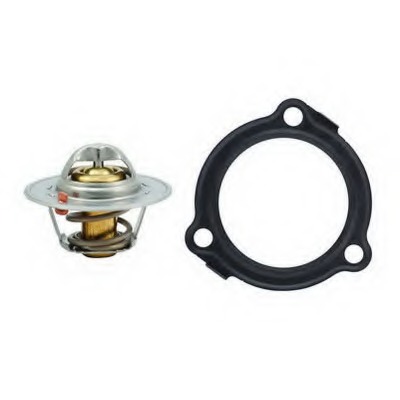 Termostat lichid racire