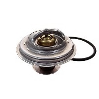 Termostat lichid racire