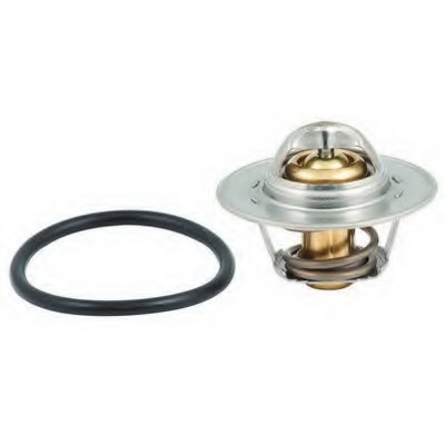 Termostat lichid racire