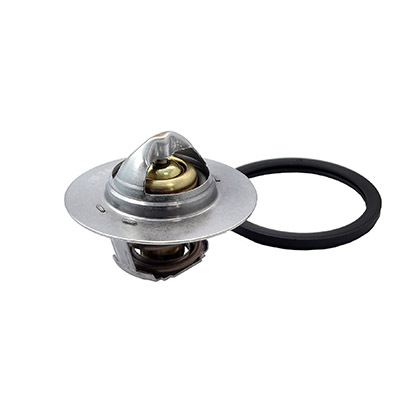 Termostat lichid racire