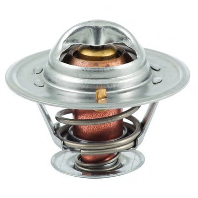 Termostat lichid racire