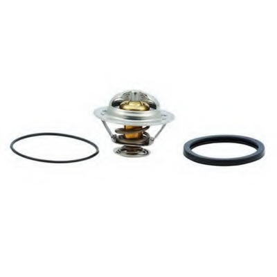 Termostat lichid racire
