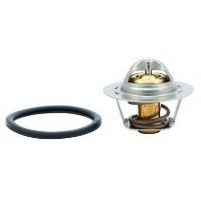 Termostat lichid racire