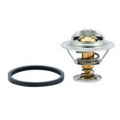 Termostat lichid racire
