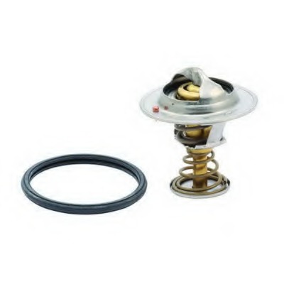 Termostat lichid racire